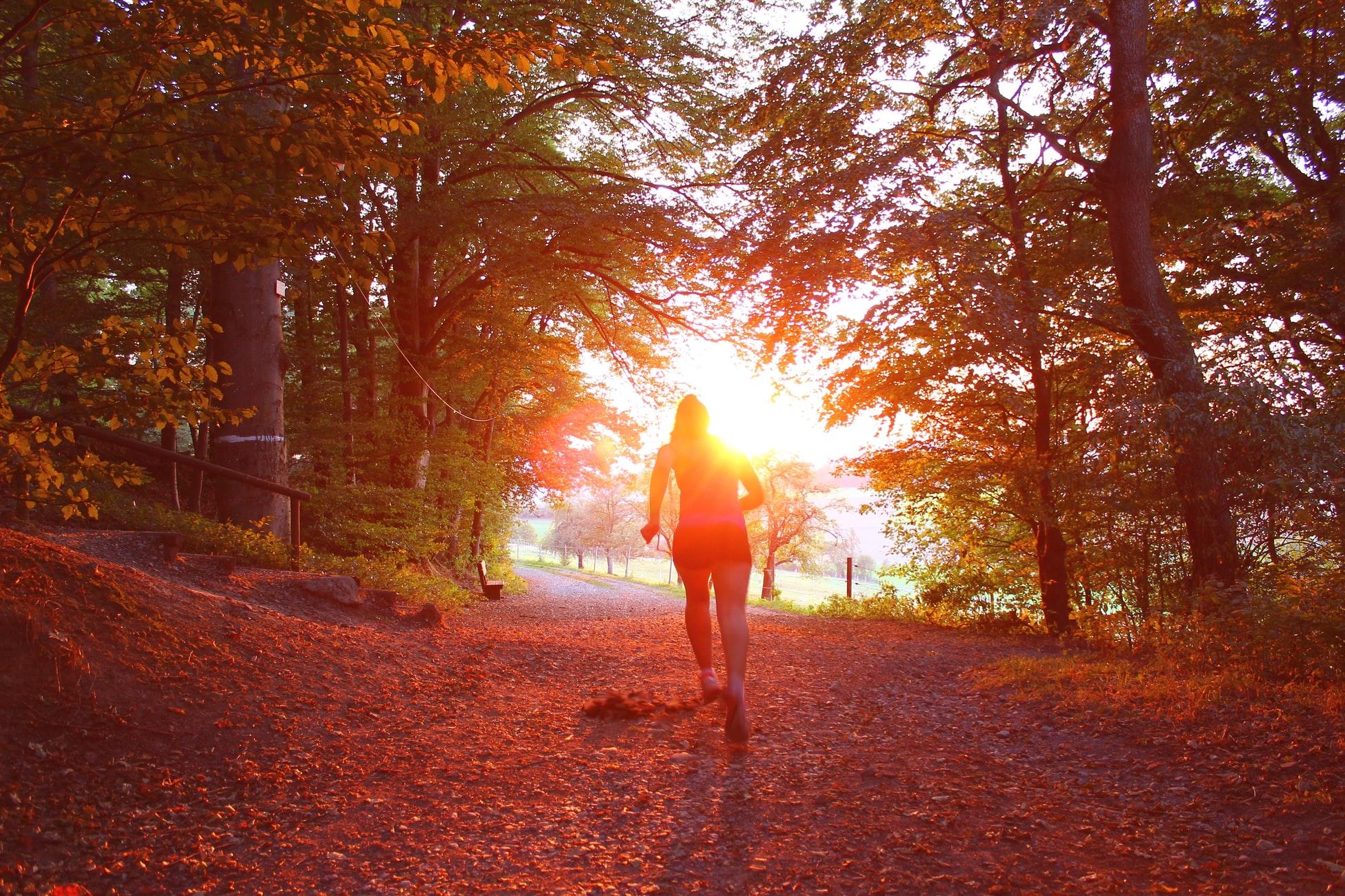 running trail